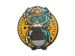 Ready For Battle image