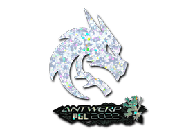 Team Spirit (Glitter) image
