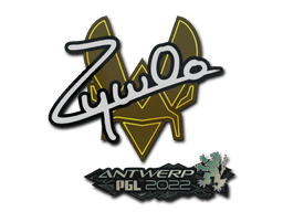 ZywOo image