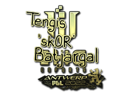 sk0R (Gold) image