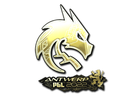 Team Spirit (Gold) image