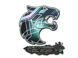 FURIA (Holo) image