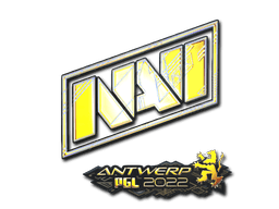 Natus Vincere (Holo) image