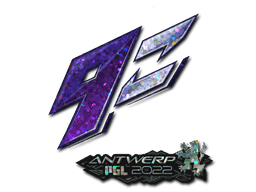 9z Team (Glitter) image