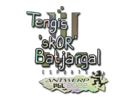 sk0R (Holo) image