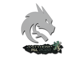Team Spirit image