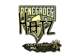 hatz (Gold) image