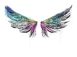 Wings image