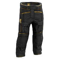 Black Gold Pants image