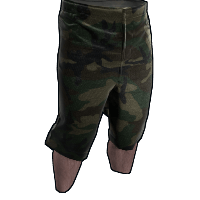 Camo Shorts image