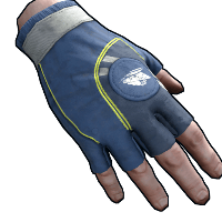 CCSC Gloves image