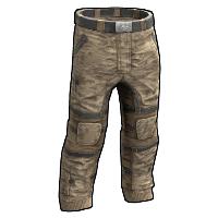 Desert Raiders Pants image