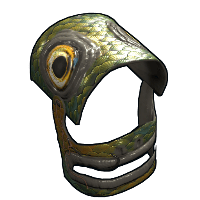 Fish Helmet image