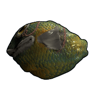 Fish Rock image