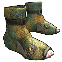 Fish Shoes image