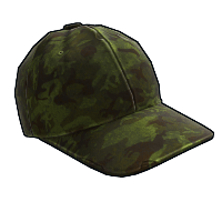 Forest Camo Cap image