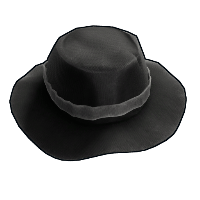 Gentleman's Fedora image
