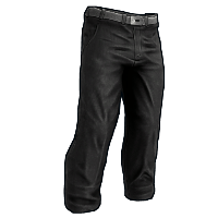 Gentleman's Pants image