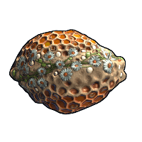 Honeycomb image