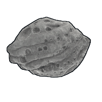 Moon Light image