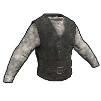Pirate Vest & Shirt image