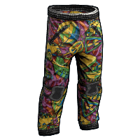 Rust Vibes Pants image