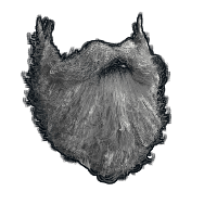 Santa Beard image