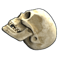 Skull image