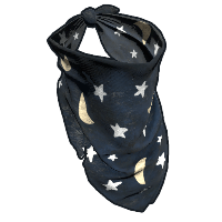 Wizard Bandana image
