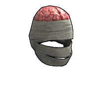 Wrapped Brain image