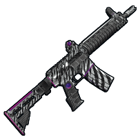 Zebra LR image