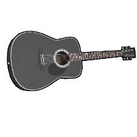 Black Acoustic Guitar image