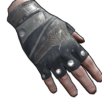 Arctic Wolf Gloves image