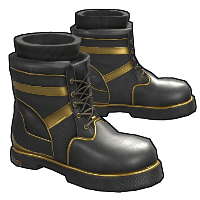Black Gold Boots image