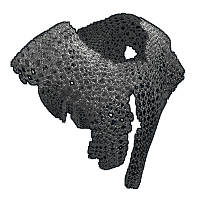 Chainmail Poncho image