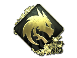 Team Spirit (Gold) image