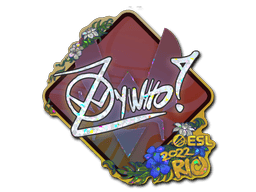 ZywOo (Glitter) image