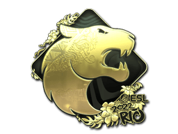 FURIA (Gold) image