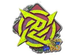 Ninjas in Pyjamas (Glitter) image