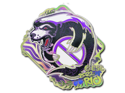 Outsiders (Holo) image