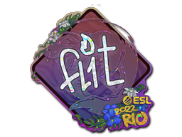 FL1T (Glitter) image