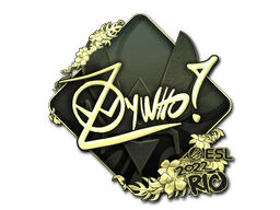 ZywOo (Gold) image