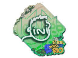 VINI image