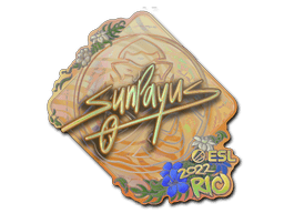 SunPayus (Holo) image