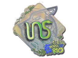 INS (Holo) image
