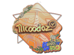 nicoodoz (Holo) image