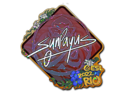 SunPayus (Glitter) image