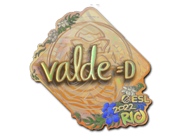 v4lde (Holo) image