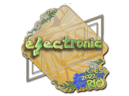 electronic (Holo) image