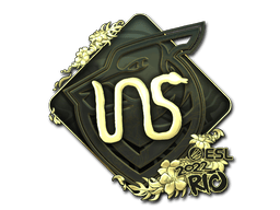 INS (Gold) image